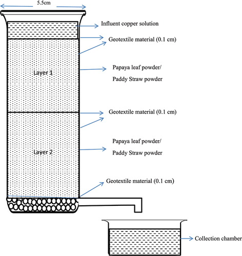 Figure 2. Experimental set-up for the dynamic study of biogeocomposite.