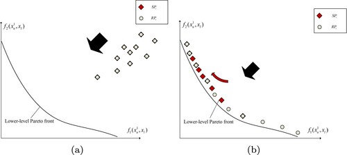 Figure 2. The proposed dual populations lower-level search. (a) In the early stage of lower-level search, the members of the two populations are consistent and evolve towards lower-level PF and (b) In the later stage, RPi uniformly converges to the whole lower-level PF, and SPi converges to the part of the lower-level PF that remains non-dominated in the upper-level objective space.