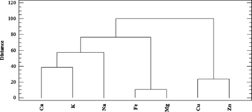 Figure 4. Dendrogram presenting similarity observed between the analyzed micro- and macroelements (The City-Block distance, Ward’s algorithm).
