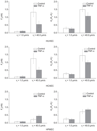 Figure 5 Adhesion force and viscoelastic response of three different endothelial cell lines. The force of adhesion Fa a) and the area ratio Av b) for three different cell lines (HUVEC, HCAEC, and HPMEC) under unstimulated (control) and stimulated (20 h with 10 ng/mL TNF-α) conditions. (Find = 5 nN; vret = 40 μm/s; *P < 0.05; number of cells n = 3; repetitions per cell N > 30).