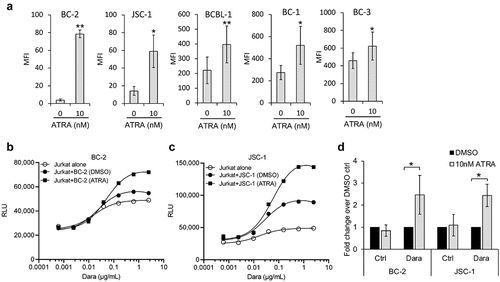 Figure 6. All-trans retinoic acid (ATRA) increases CD38 expression of PEL cell lines and enhances Dara-mediated ADCC induction. (a) Levels of surface CD38 on PEL cell lines treated with DMSO alone (0 nM ATRA) or with 10 nM ATRA for 72 h were measured by flow cytometry using PerCP-Cy5.5 conjugated anti-CD38 antibody and expressed as median fluorescence intensity (MFI) after subtracting background MFI from isotype control ab. Results represent average MFIs and standard deviations from at least 3 separate experiments. (b and c) ADCC pathway activation by DMSO or 10 nM ATRA-treated BC-2 (b) and JSC-1 (c) cells after co-incubation with Jurkat-ADCC cells for 6 h in the presence of various concentrations of Dara. Data show one representative experiment from 3 separate experiments and is expressed as relative luminescence unit (RLU) from Jurkat-ADCC cells alone or co-incubated with the PEL lines. (d) Change in ADCC by ATRA-treated BC-2 and JSC-1 cells over that by DMSO-treated cells is presented as fold change in RLU from Jurkat-ADCC cells after 6 h co-incubation in the presence of 0.6 µg/mL DARA or isotype control ab. Data show averages and standard deviations from 4 separate experiments. Statistically significant differences (*P ≤ .05, **P ≤ .01) by 2-tailed t-test are indicated.