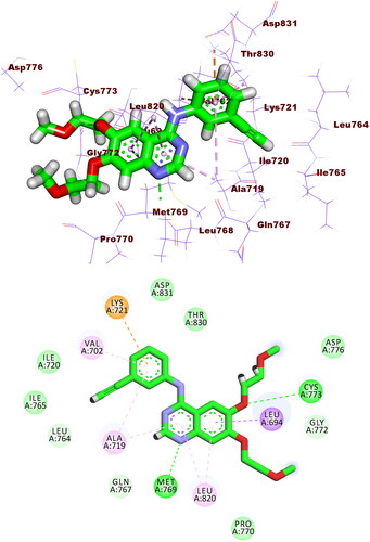 Figure 7. Erlotinib docked into the active site of EGFRWT forming two HBs with Met769 and Cys773 and seven HIs with Lys721, Val702, Ala719, Leu820, and Leu694.