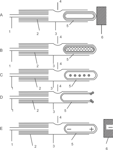 Figure 2 The principal schemes of the jet nanoengines. The nanoengine is composed of the nozzle made of the inner nanotube wall with small diameter (1), the medium walls (2) which serve to hold the nozzle, the body (3) made of the outer wall with the hole (4), and the piston made of another nanotube (5). Several ways of piston actuation are possible: (A) by attached nanomanipulator (6), (B) by a magnetic field acting on the magnetic core of the piston, (C) by electric field acting on encapsulated ions, (D) by electric field acting on dipole produced by atoms or molecules adsorbed on the open edge of the walls constituting the piston, by electric field acting on dipole induced by this field in the piston, (6) is the control electrode.