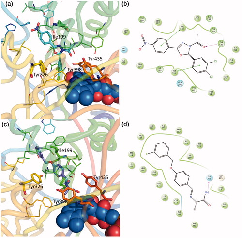 Figure 5. Binding mode of previously published compounds and approved inhibitors. (a) 4f-(R) MAO-B complexCitation21; (c) safinamide MAO-B complex (pdb code 4v5z)Citation25; (b, d) compound 2D representation and binding pocket interacting residues: in green, hydrophobic; cyan, polar residues. Green arrows indicate π−π interactions, magenta arrow indicates H bonds.