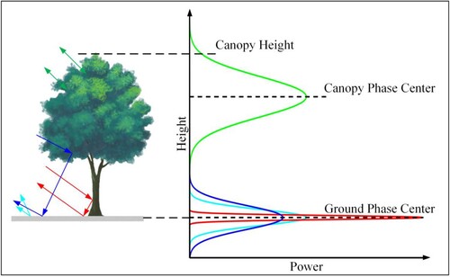 Figure 7. The distribution of the forest backscattering mechanism power with elevation.