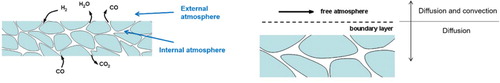 Figure 1. Interaction between sintering atmosphere and powder compact or sintered body.