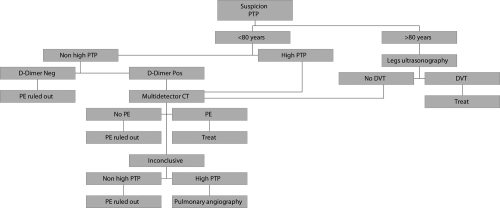 Figure 1 Diagnostic algorithm for elderly patients with suspected PE derived from literature evidence.