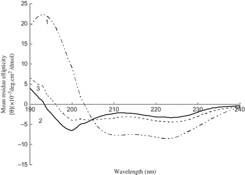 Figure 4  CD spectra of myosin during heating. The numbers 1, 2, and 3 represent native myosin (pH 7.5), myosin heating for 60 min at 40°C, myosin heating for 60 min at 40°C, and then heating for 30 min at 90°C, respectively.