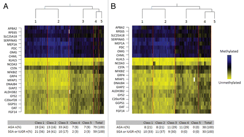 Figure 3 Methylation profiles defined by 22 loci are associated with infant growth status. The Recursively Partitioned Mixture Model-based classification of placenta samples (columns) based on 22 loci (rows) is depicted on the heatmap, with the five classes separated by red lines in the (A) training and (B) testing series. The prevalence of growth restriction or normal births within each of the classes is shown below the heatmap. The Chi-square p value listed below the tables indicates a significant difference in the proportion of SGA participants between classes for both training and testing datasets.