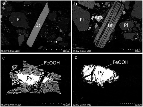 Figure 2. (a), (b) SEM images of biotite with different weathering stages and (c), (d) pyrite with outer rims of iron oxyhydroxides in a different degree of alteration visible in the pyrite grains with exposed surfaces. (a) TS1016: nonweathered biotite grain with a potassium content of 4.24 atom-%. (b) TS1016: biotite grain affected by weathering with a mean potassium content of 0.69 atom-% (maximum 2.29 atom-%). Bt = biotite, Pl = plagioclase, Am = amphibole. (c) TS1016: pyrite, FeS2 (Py), with an oxidized outer rim that contains 4.49 atom-% S, 0.33 atom-% Ca, 28.41 atom-% Fe, 2.42 atom-% Si, 0.36 atom-% Al, and 64.00 atom-% O, denoted FeOOH in the figure. (d) TS0516: pyrite crystal with a thin alteration rim with oxidized iron (FeOOH).