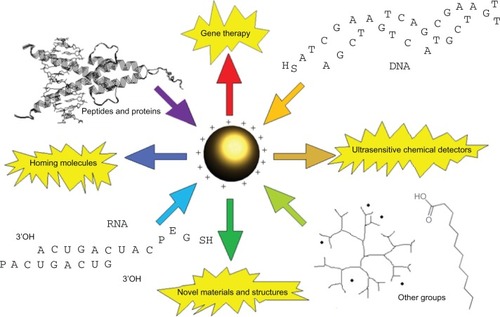 Figure 1 Graphical abstract designed to highlight various applications of gold nanoparticles with different kinds of macromolecule conjugates, such as thioalkylated DNA,Citation11 RNA,Citation90 proteins,Citation24 peptides,Citation45 carboxylic acids,Citation8 and poly(amidoamine) (PAMAM) dendrimers.Citation9