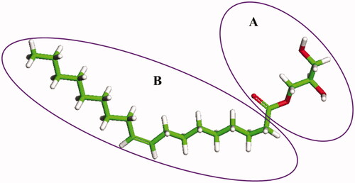 Figure 1. Chemical structure of GMO divided into Fragments A and B.