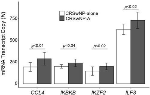 Figure 2 Upregulated genetic transcriptional changes in peripheral blood favor a type 2 inflammatory profile among patients with CRSwNP-A compared to CRSwNP. CCL4 (Th2, p<0.01), IKBKB (Th2, p<0.04), IKZF2 (Th2, p<0.02), and ILF3 (Th2, p<0.02) are significantly upregulated in CRSwNP-A compared to CRSwNP.