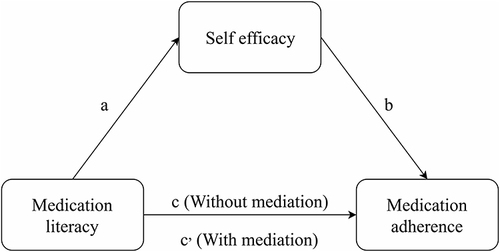 Figure 1 The theoretical framework of this study. (a) Effect of medication literacy on self-efficacy; (b) Effect of self-efficacy on medication adherence; (c) Effect of medication literacy on medication adherence (Without mediation); (c’) Effect of medication literacy on medication adherence (With mediation).