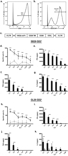 Figure 1. Murine GD2 CAR T-cells are functionally active in the presence of antigen-positive tumor cells. (a) Mouse glioblastoma cell lines SB28 and GL26 were modified to express GD2 through overexpression of GD2 and GD3 synthases. SB28 GD2+ (black) and unmodified SB28 (gray) cells were stained for cell surface GD2 and analyzed by flow cytometry. (b) GD2 CAR expression was evaluated on GD2-28z (black) and untransduced mock (gray) T-cells by flow cytometry through staining with 1A7 idiotype. (c) The 14G2a single-chain variable fragment was cloned into an MSGV1 retroviral expression vector containing a CD28 transmembrane-CD28-CD3ζ signaling motif to create the MSGV.14G2a.CD28.z construct encoding the GD2 CAR. (d-k) Untransduced mock (gray) or GD2 CAR T-cells (black) were co-cultured for 24 hours with either GL26 GD2+ (d-g) or SB28 GD2+ (h-k), followed by tumor cell viability assay via bioluminescence (d,h) and ELISA of proinflammatory cytokines IFNγ, TNFα, and IL-2 (E-G, I-K). * = p < .01, ** = p < .001, *** = p < .0001 by two-way ANOVA. n = 8 per group, repeated as three independent experiments. Error bars indicate standard deviation. E:T indicates effector to target ratio.