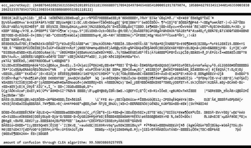 Figure 7. Changed ECC secret key point, part of corresponding ciphertext, and proof of confusion property respectively using CLEA-256 algorithm.