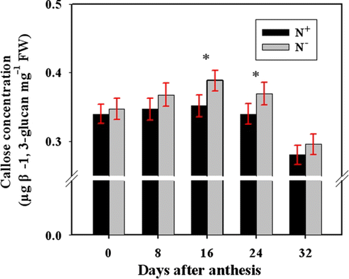 Figure 3.  Comparison of peduncle callose concentration for N− and N+ wheat plants at 0, 8, 16, 24, and 32 DAA. Callose concentration was determined after NaOH extraction. Bars represent mean±SD of four replicates. For the ANOVA, *denotes significant effects at P<0.05.