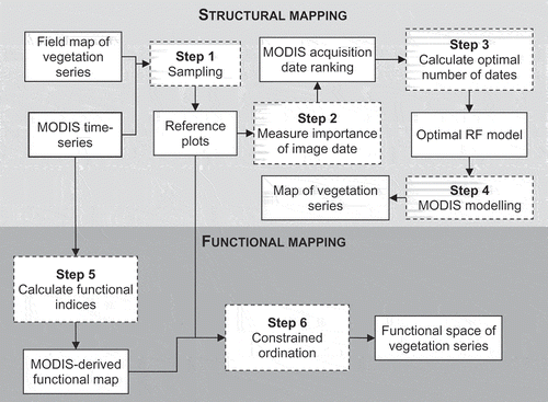 Figure 2. Methodological flowchart.