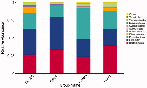 Figure 2. Taxonomic profiles of the top 10 phyla in different groups. CON26: control group, sampled at day 26; EW26: weaning group, sampled at day 26; CON49: control group, sampled at day 49; EW49: weaning group, sampled at day 49.