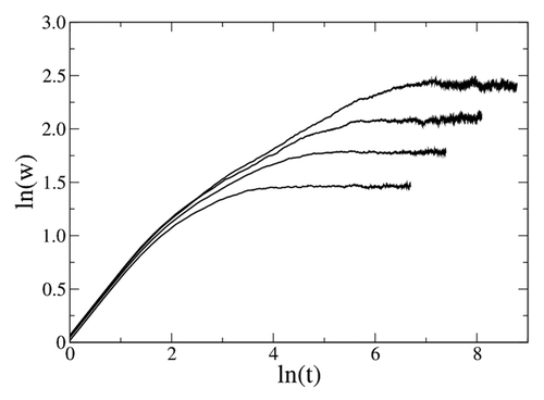 Figure 1. Temporal evolution of the roughness for different network sizes.Citation4,Citation5