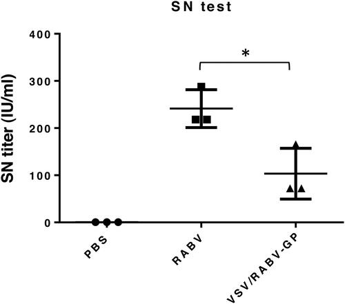 Figure 4. Protective efficacy of VSV/RAVB-GP vaccination. Detection of neutralizing antibody titers in the serum of the immunized mice by fluorescent antibody virus neutralization test (FAVNT). Results are expressed as the mean (n = 3) of serum neutralizing titers ± SD values and are representative of at least three independent experiments. Statistical significance was assessed by Student’s t test. *p < 0.05.