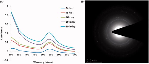 Figure 1. UV–Visible spectrum absorption pattern and SAED pattern of gold nanoparticles synthesised from T. kirilowii. (A) UV pattern of Au-T. kirilowii; (B) SAED pattern of Au-T. kirilowii.