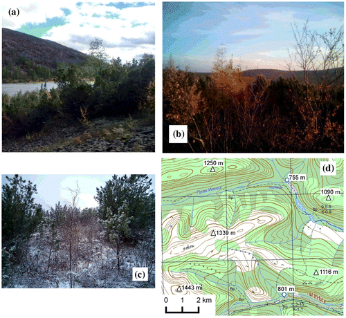 Figure 1. Typical environmental conditions of study area: (a) September 1st, (b) September 10th, (c) September 20th, (d) fragment of topographic map.