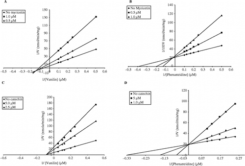 Figure 2.  Typical Lineweaver-Burk plots for inhibitory activity of myricetin and catechin on the oxidation of vanillin (A and C, respectively) and phenanthridine (B and D, respectively) catalyzed by guinea pig liver AO. The enzyme assays were performed as described in materials and methods. The data represent the average of 4–8 experiments.