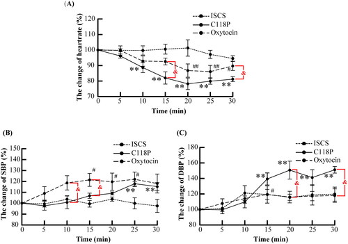 Figure 5. Statistical analysis of the changes in heart rate (A) and blood pressure (B, C) in the ISCS, C118P and oxytocin groups. Mean value was significantly different from that of the pre-perfusion level: **p< .01 in the C118P group, and #p< .05, ##p< .01 in the oxytocin group. Data were significantly different between the C118P and oxytocin groups: &p< .05.