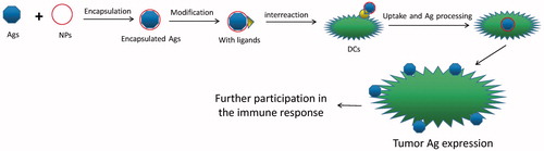 Figure 1. Sketch of mechanism of immunotherapy.