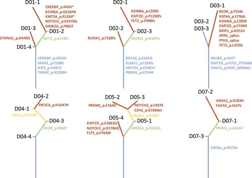 Figure 3. Assessment of intra-tumoral heterogeneity by multiregional sequencing. Each tree represents a patient. Blue, green and brown represent trunk, branch and private mutations, respectively.