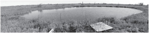 FIGURE 1. Photo of Left Pond taken on 17 July 2011 showing surrounding tundra landscape.