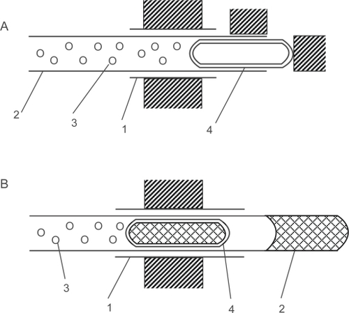 Figure 4 The principal schemes of electromechanical nanodevices which can operate as a nanosyringe or a nanoprobe. The nanodevice is composed of the fixed outer wall (1) of the nanotube, the movable medium wall (2) which serves as the needle of the nanosyringe or the nanoprobe and contains a drug (3) and the piston (4) made of the inner walls of the nanotube. Two ways of piston and needle actuation are shown: by attached nanomanipulator (A), by magnetic field acting on the magnetic core of the piston (B).
