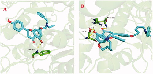 Figure 7. (A) The docking model for 5f into the protein crystal structure of huAChE (PDB code: 4ey4). (B) The docking model for 7k into the protein crystal structure of huAChE (PDB code: 4ey4).