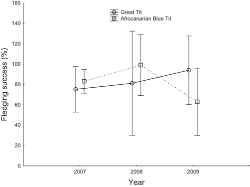 Figure 4. Comparison of fledging success expressed as the percentage of hatchlings that fledged (means ± 95% CI) between Great Tits and Afrocanarian Blue Tits in cedar stands of Belezma National Park during 2007–2009.