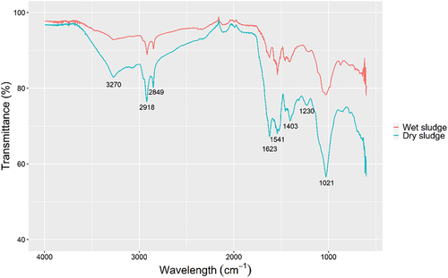 Figure 3. FT-IR spectra of wet and dry sludge.