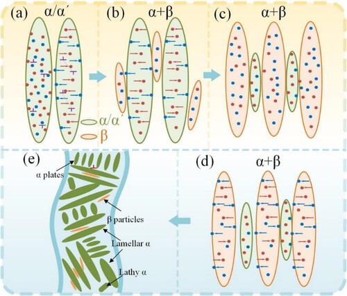 Figure 16. Schematic diagram of microstructure evolution of DLDED samples.