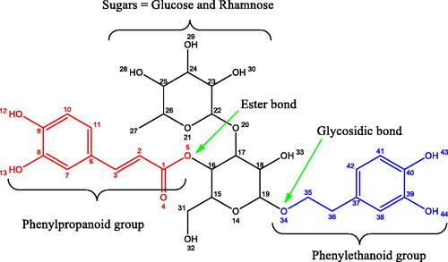 Figure 1. The VBS molecule’s sugar groups (glucose and rhamnose) and two antioxidants (phenylpropanoid and phenylethanoid) linked through an ester and glycosidic linkages.