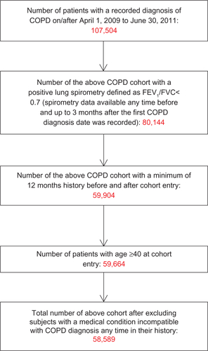 Figure S1 Study flow chart.Abbreviations: COPD, chronic obstructive pulmonary disease; FEV1, forced expiratory volume at one second; FVC, forced vital capacity.