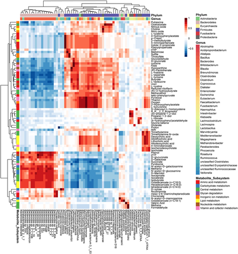 Figure 4. Spearman correlation analysis between metabolite secretion fluxes (mmol/person/day) and species relative abundances across all 136 microbiome models revealed 82 metabolites with correlation coefficients > 0.75 or < −0.75 with at least one bacterial species. These 82 metabolites, categorized by subsystem annotation, are displayed against the corresponding bacterial species, classified by genus and phylum.