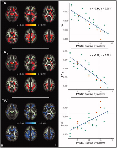 Figure 2. Correlations between positive symptoms and diffusion measures in CHR individuals (n = 28, pFWE < 0.05). FA and FAT (red) are inversely correlated, while FW (blue) is positively correlated with positive symptoms (left panels). Pearson’s correlations using diffusion measures averaged across corresponding significant clusters are shown on the right. Data points for CHR-P subjects are orange-coloured.Note: CHR: clinical high-risk for psychosis, FA: fractional anisotropy, FAT: fractional anisotropy of the tissue, FW: free-water, PANSS: Positive and Negative Syndrome Scale
