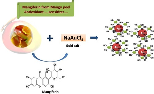 Figure 1 Production of therapeutic MP-AuNPs through Green Nanotechnology.
