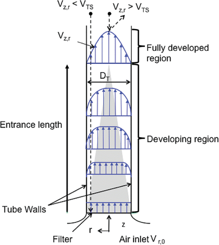 FIG. 1. Velocity profile in PIPS collection tube. The shaded triangular region depicts the width of the inviscid core region for a developing laminar flow.