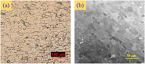 Figure 6. Base material microstructure: (a) optical micrograph and (b) FESEM micrograph.