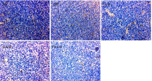 Figure 10 Immunohistochemical analysis of CD31. CD31, a marker of angiogenesis, was detected by immunohistochemistry in tumor tissues treated with NS, EM, F-Lut, Lut-M and Fa-Lut.