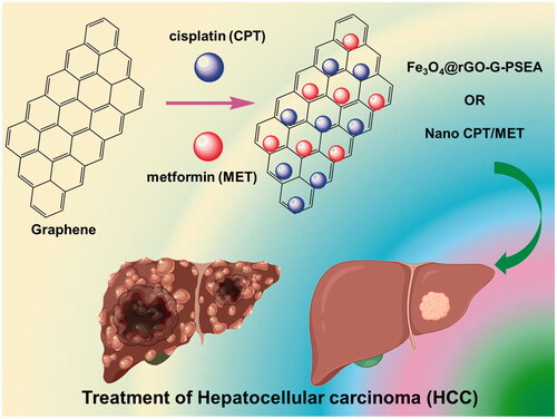 Scheme 1. The schematic representation of newly fabricated magnetic Fe3O4@rGO-g-PSEA nanocomposite for the treatment of hepatocellular carcinoma (HCC).