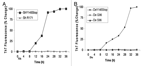 Figure 3 Time-course analysis to document increase in Thioflavine T uptake and fluorescence by sheep and deer Y145Stop in the absence of seeds. (A) ShY145Stop (squares) and full-length Sheep PrP with R at codon 171 (triangles) incubated in the absence of seeds. (B) DeY145Stop (circles) and full length Deer PrP with G (squares) or S (triangles) at codon 96 incubated with no seeds. All samples were subjected to PMCA under identical conditions. ShY145Stop and DeY145Stop acquired the ability to bind ThT without addition of external seeds. In contrast, the full-length prion protein did not show detectable ThT binding. The kinetic curves were characterized by a lag phase (8–12 h).