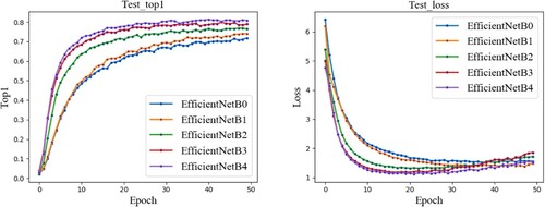 Figure 8. Performance comparison of different EfficientNet variants.