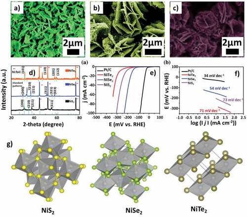 Figure 11. (a, b, c) SEM image of NiTe2, NiSe2, NiS2 respectively, (d) XRD pattern of NiTe2, NiSe2, NiS2, (e) LSV curve for HER measurement in 0.5 M H2SO4, (f) Tafel slope of materials, (g) Crystal structure of Nickel chalcogenides NiS2, NiSe2 and NiTe2 Source: [Citation125].