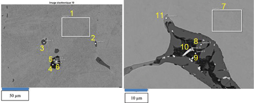 Figure 10. Typical inclusions in VF-U1 SEM micrographs (scale is 50 µm at left and 10 µm at right).